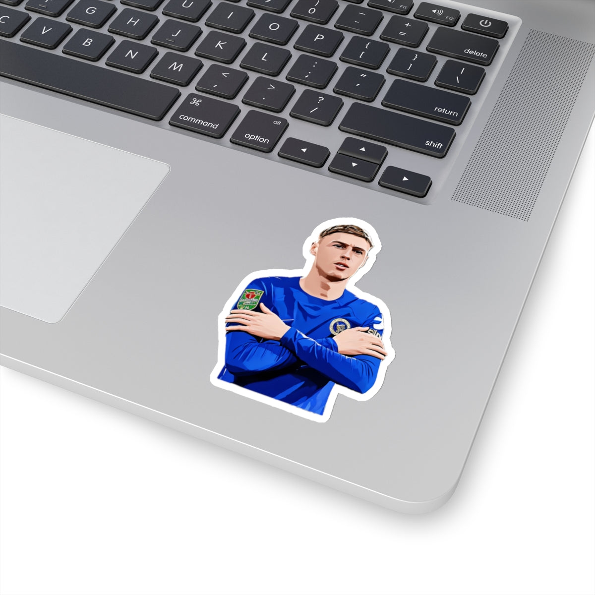 Cole Palmer Chelsea Sticker | Freezing Cold Celebration | Water Bottle & Laptop Sticker